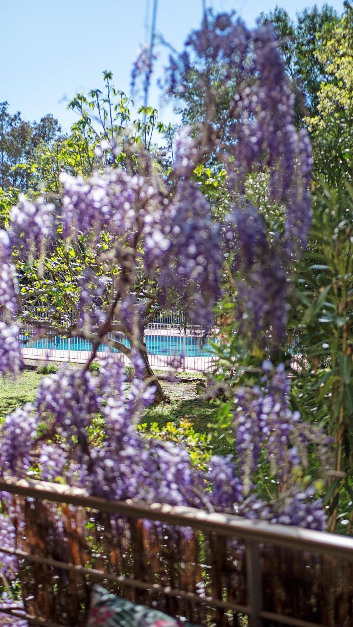 Casa Laura -Parking - Pool Apartment Saint-Tropez Exterior photo